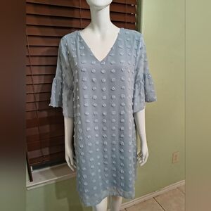 Light Blue Textured Dot V-Neck Shift Dress with Flutter Sleeves